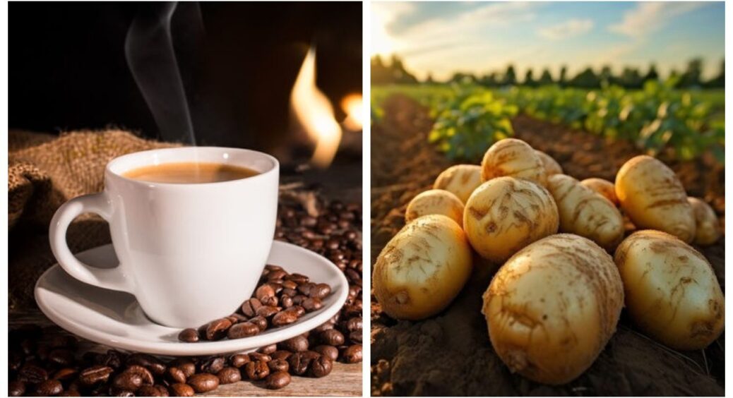 Будете здивовані: 5 продуктів, які дуже корисні для серця – сало, картопля, кава і ще дещо 