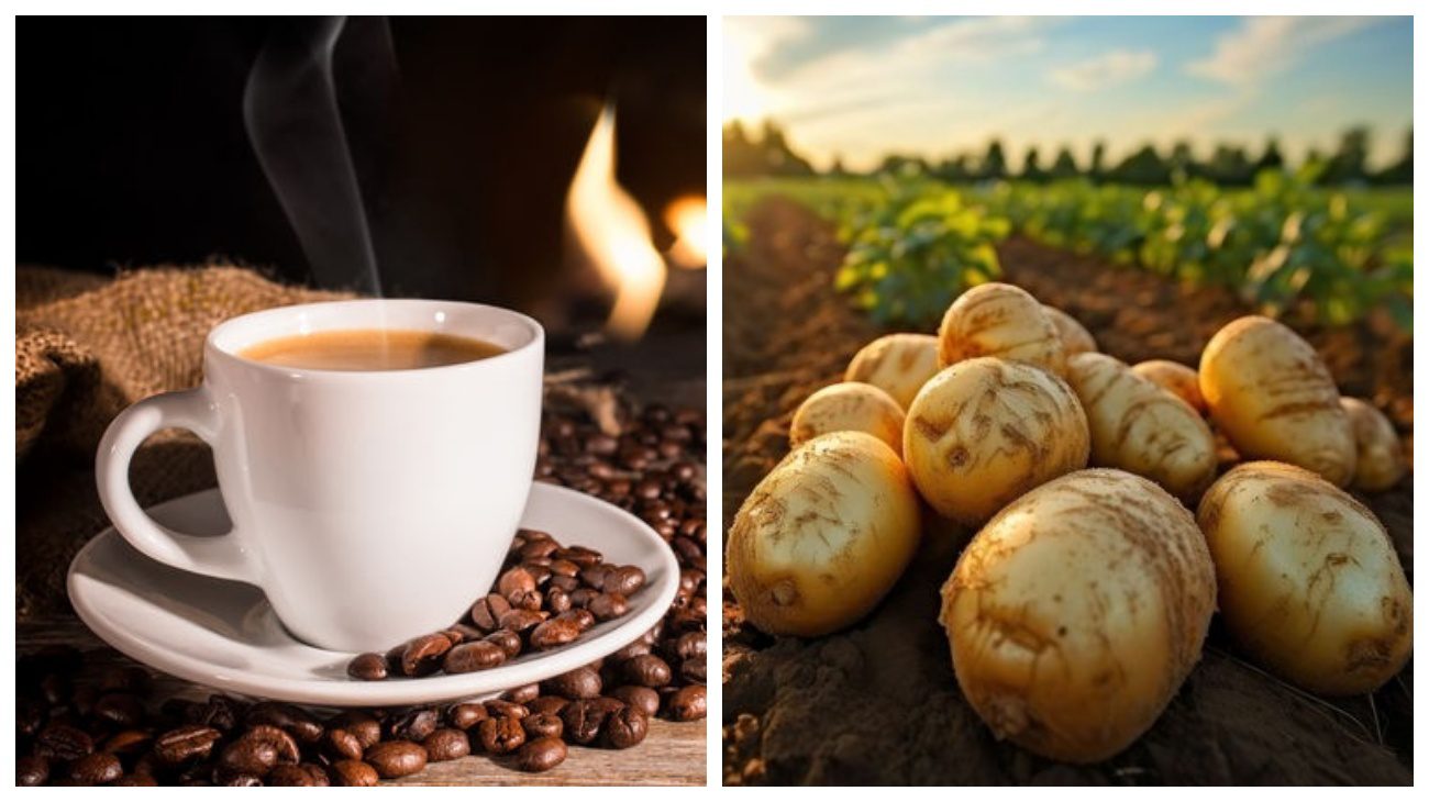 Дієтологи пояснили, які продукти корисні для серцево-судинної системи