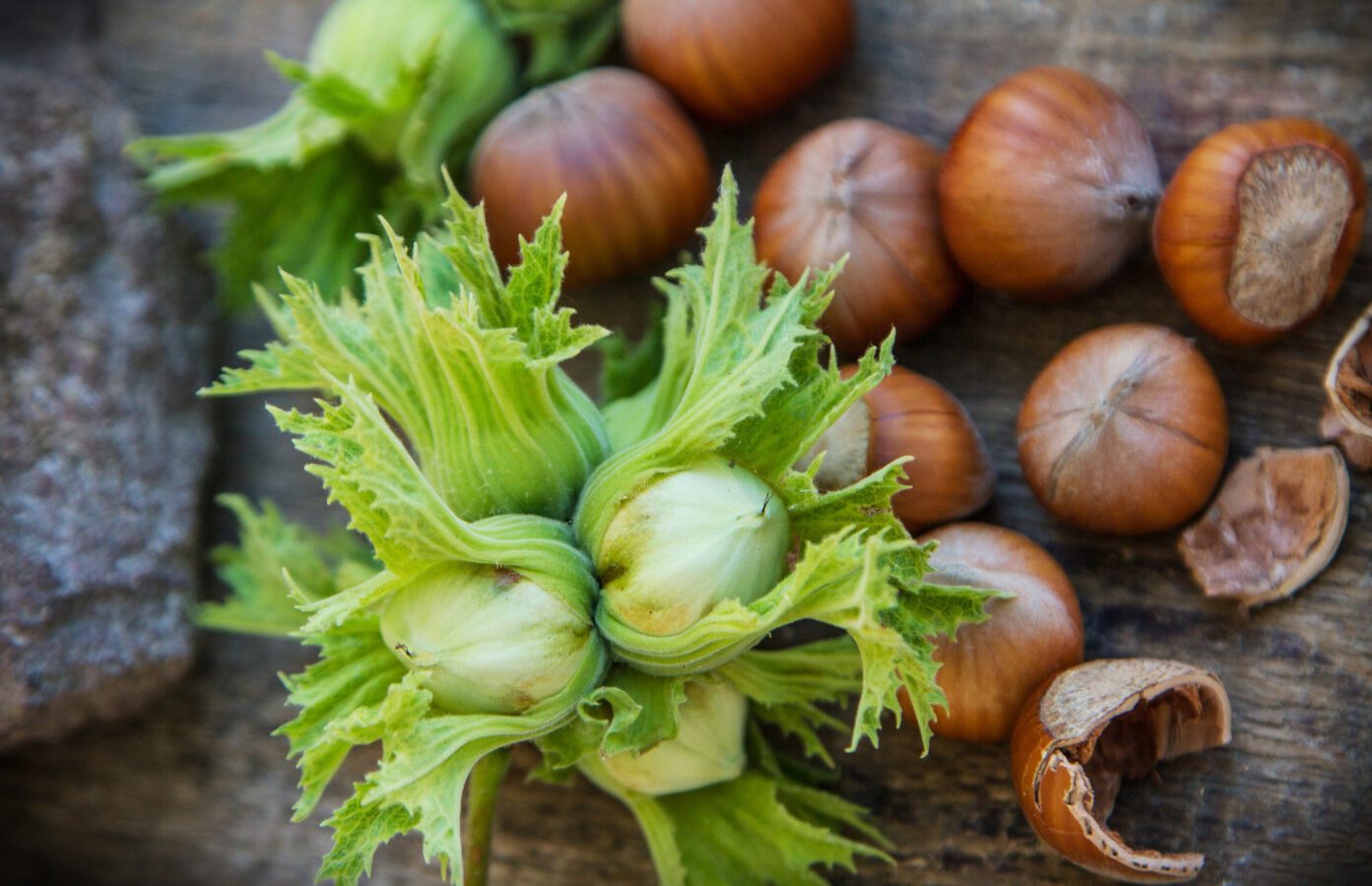 Дієтологи розповіли, чому потрібно їсти фундук