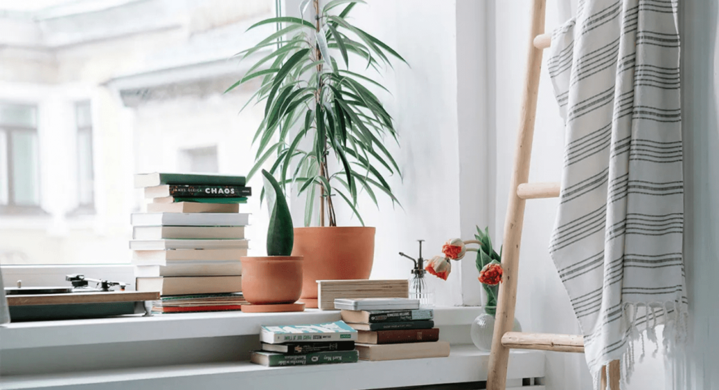 НЕ ставте на підвіконня ці 6 предметів: їм там не місце, бо в дім прийде біда 