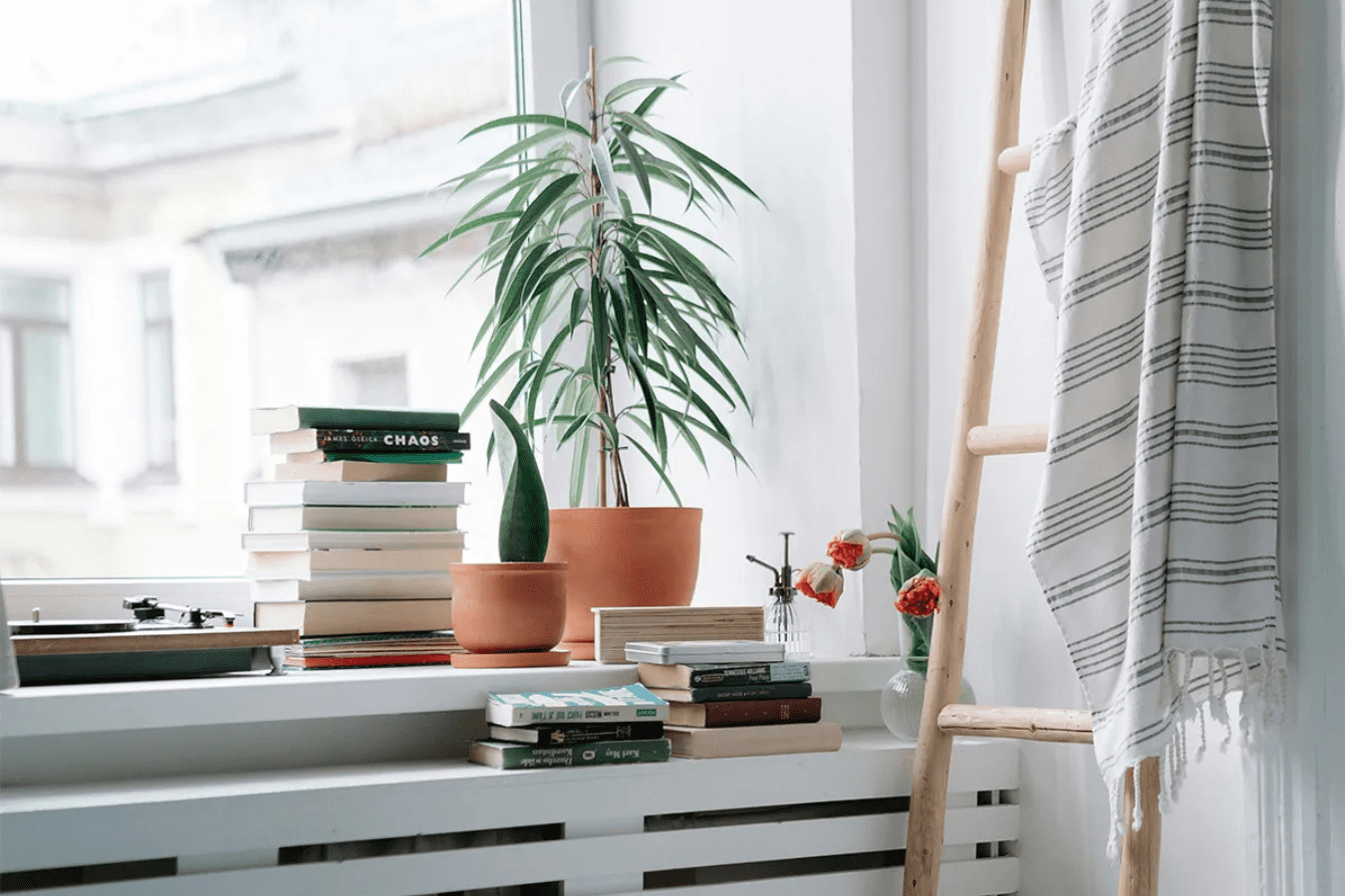 Ось які речі не можна ставити на підвіконня