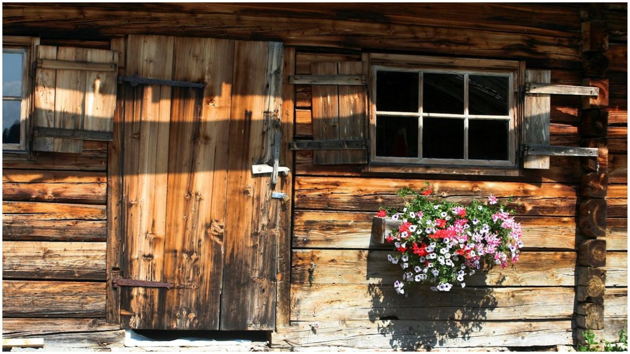 Майстри розповіли, як облаштувати дачний сарай