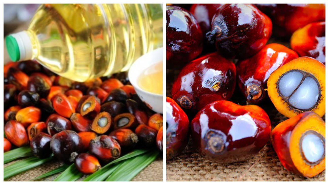 Експерти пояснили, чому не варто їсти продукти з пальмовою олією