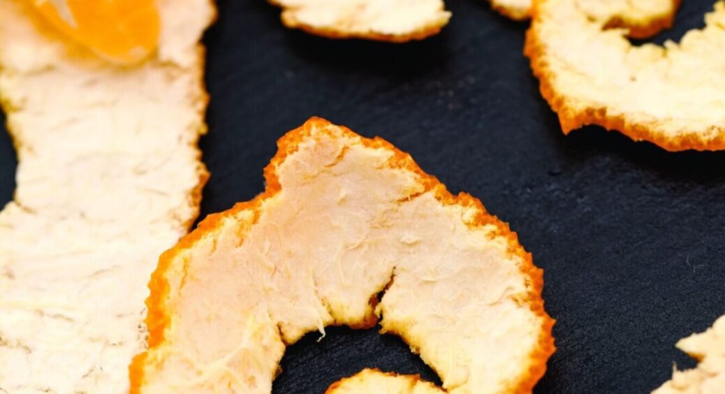 Не тільки екологічно, а ще ефективно і ароматно: цитрусова шкірка проти навʼязливої попелиці 