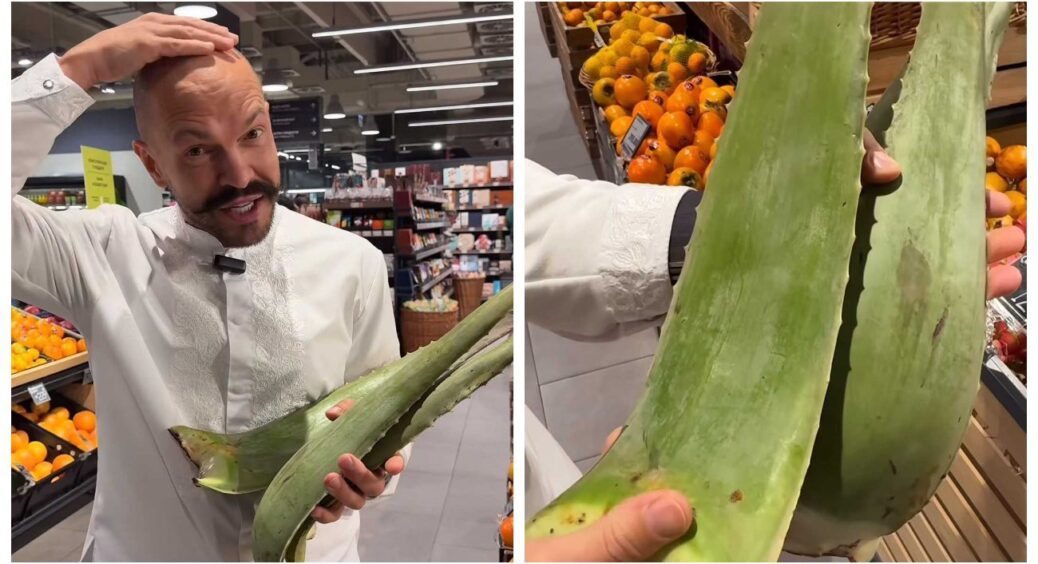 Ну все: в ресторанах Володимира Ярославського відвідувачів годуватимуть листям свіжого алое 