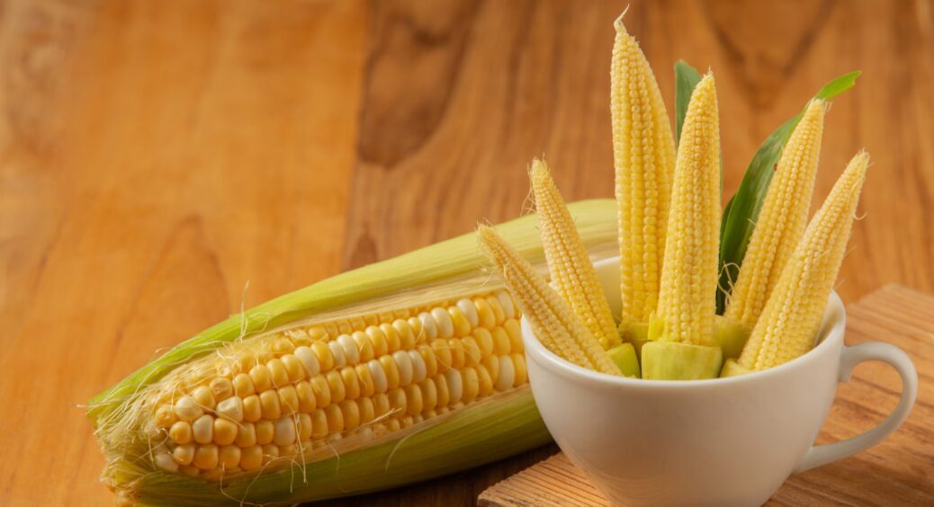 Солодше не знайти: кулінари назвали сорт “цукрової” кукурудзи – можна заморожувати і закривати 