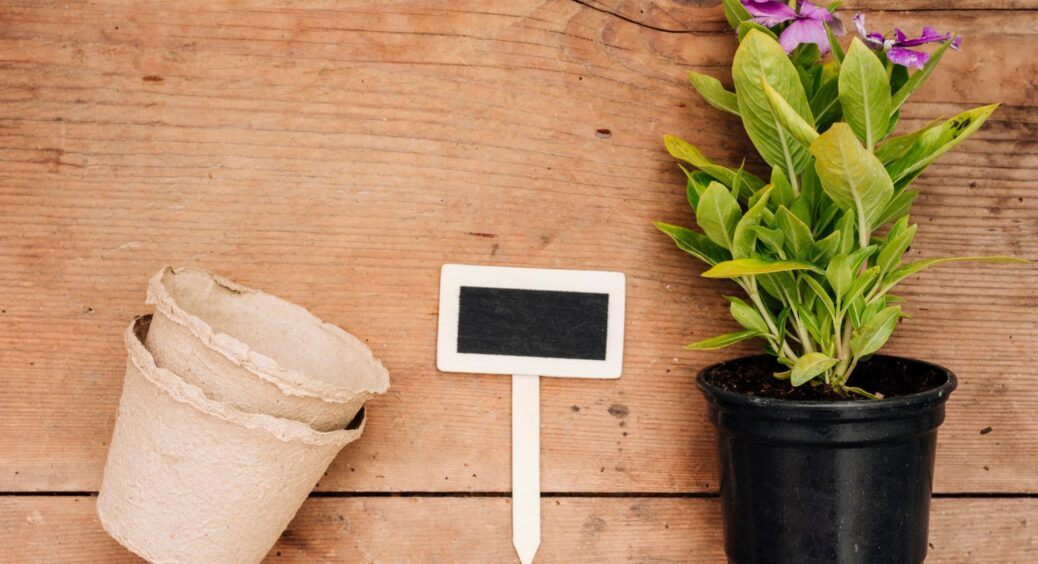 Як зробити горщики для розсади з газет: бюджетний варіант для економії ваших грошей 
