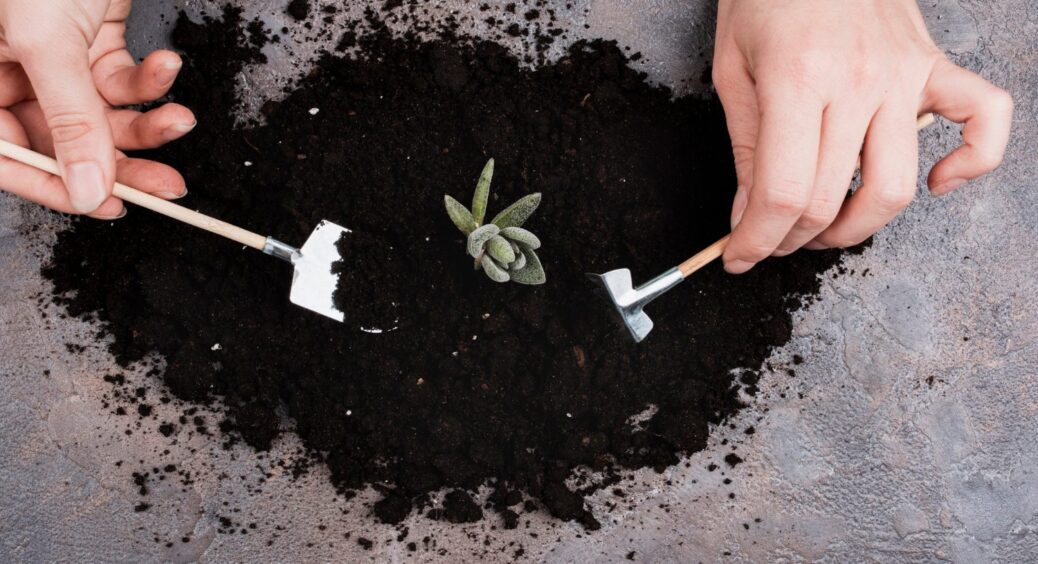 Земля повинна бути не пухнаста, а родюча! Врожай овочів зросте в рази – зробіть з ґрунтом це 