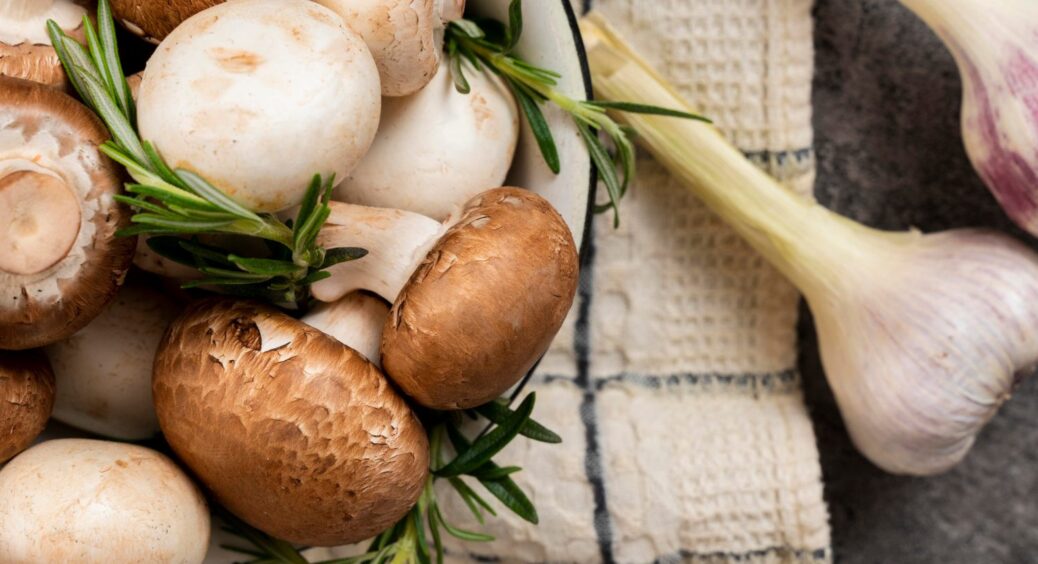 5 секретів “тихого полювання”, якими користуються лише досвідчені грибники: правило один + один 