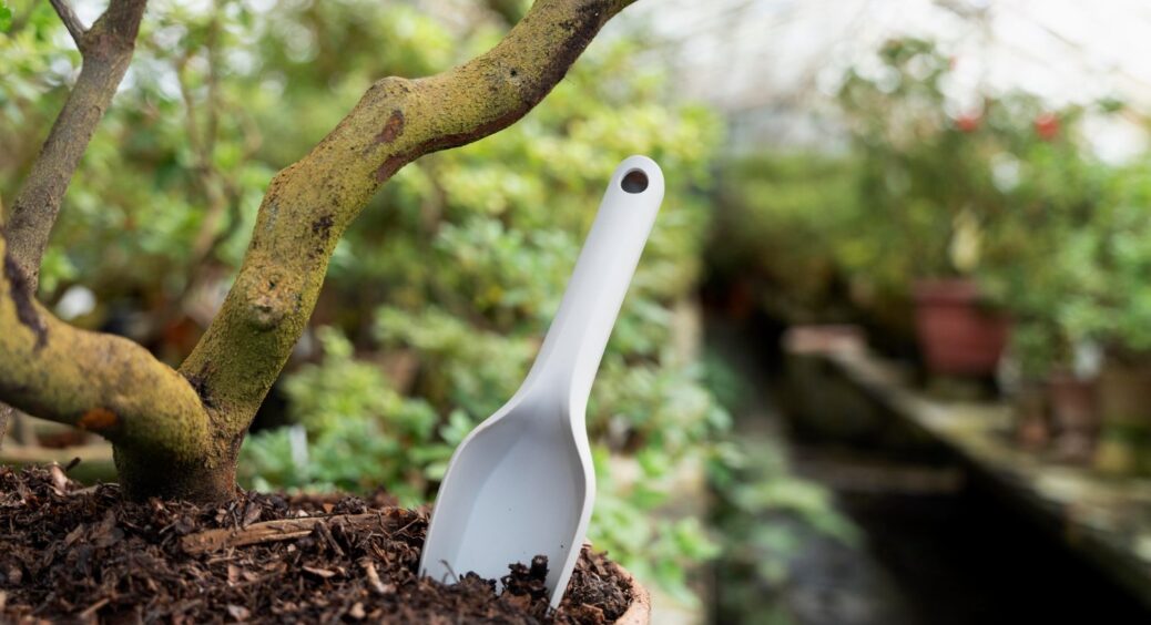 Зробіть це до розпускання бруньок: чим у березні 2025 обробити сад від шкідників? 