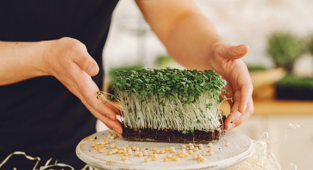 Це не залежить від сорту: яке насіння проростає тільки у темряві, а якому потрібне світло 