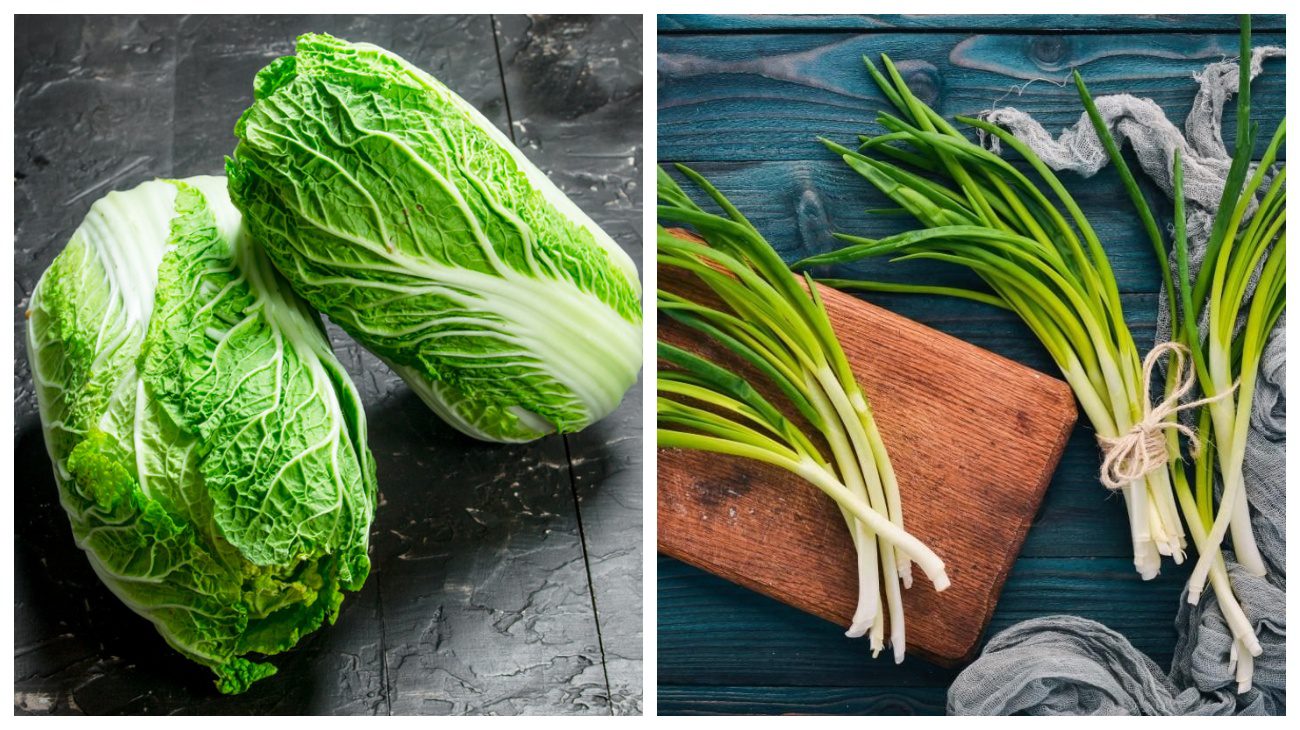 Городники пояснили, які овочі обов'язково потрібно садити в тіні та напівтіні