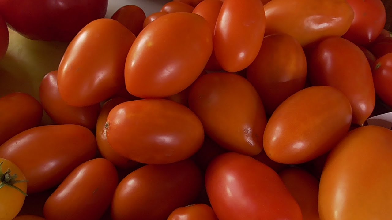 Огляд насіння томатів 2025: які сорти найкращі