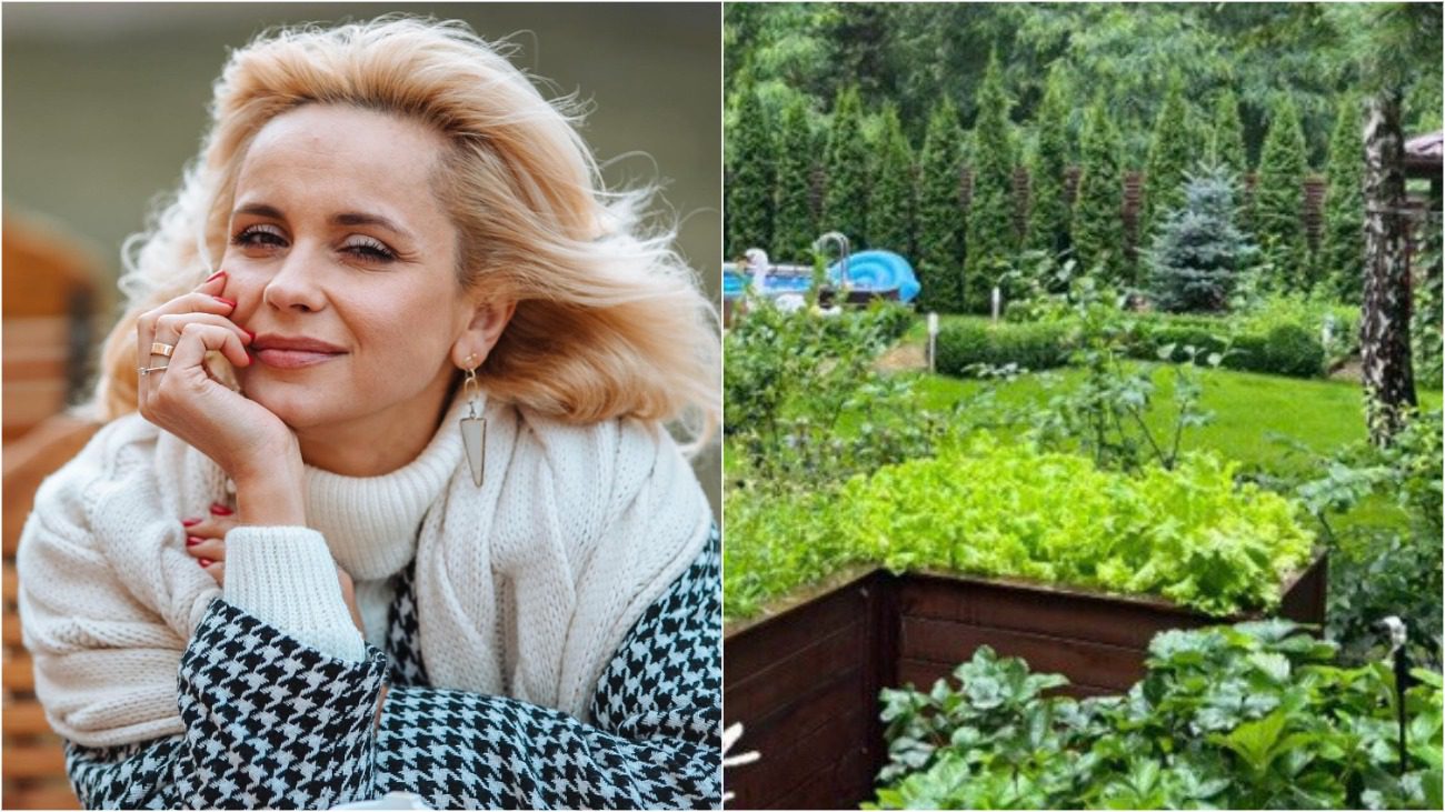 Садівники назвали рослини, які завжди потрібно вирощувати лише на високих грядках