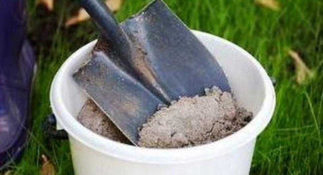 Тримається так, що зубами не відірвати: вливаю в побілку для дерев обовʼязково ще 1 продукт 