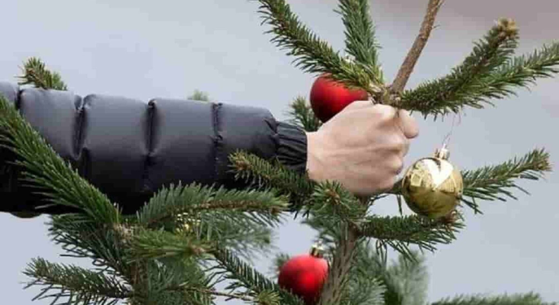 У які дати січня потрібно прибирати ялинку, щоб багатство та удача залишилися поруч 