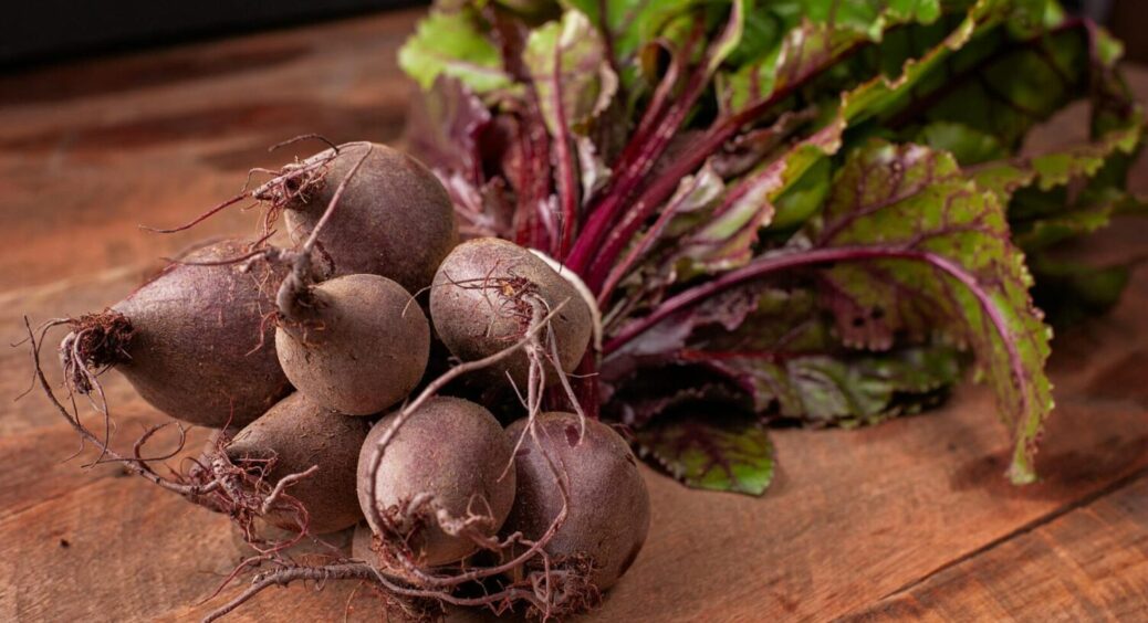 Забудьте про борошнисту росу: посадіть цей сорт буряка – без нього не обійтися у 2025 році 