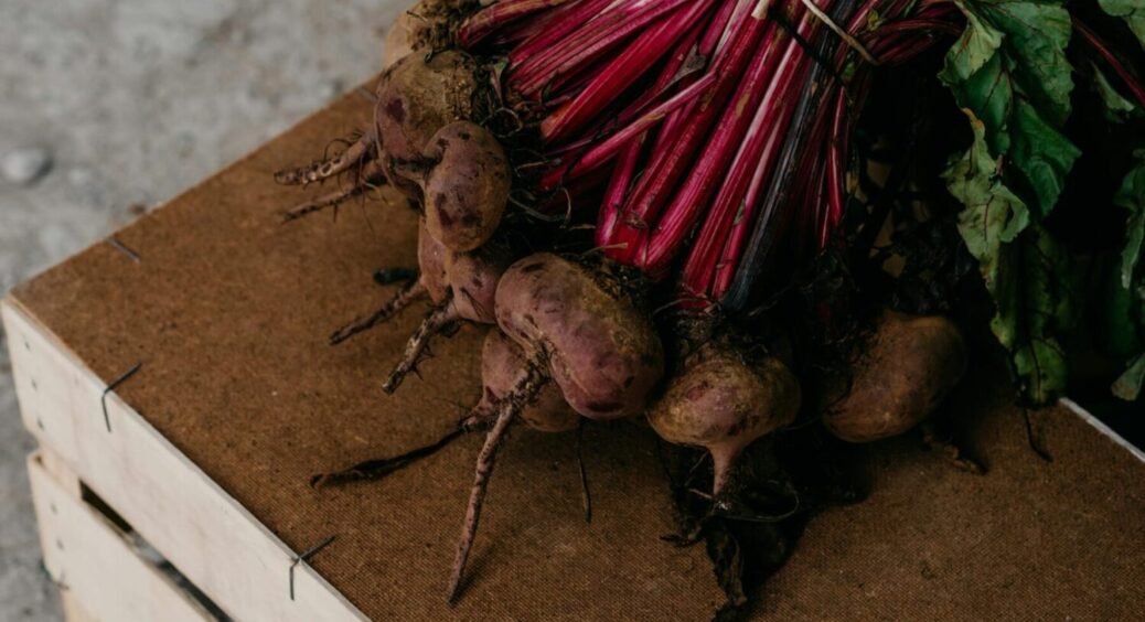 Не проґавте момент: коли саджати буряк – розклад по регіонах України – північ, центр, південь 
