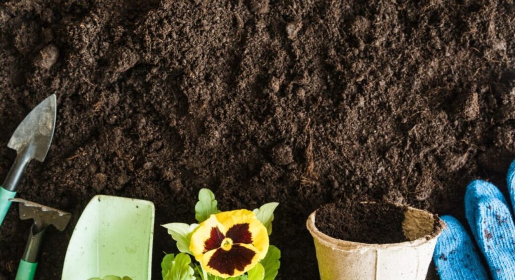 Всього 1 простий прийом і навесні мерзла земля перетвориться на “пухову перину” 