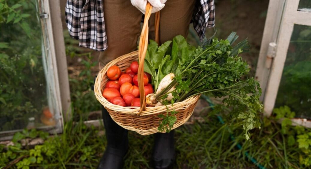 3 зубчики цього “пахучого” продукту і мінус шкідники: навіщо використовувати часниковий розчин 