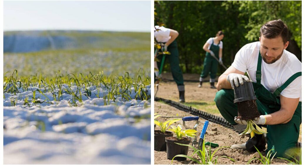 Відсутність снігу – не завжди добре для городу: 6 справ, які треба зробити безсніжною зимою 