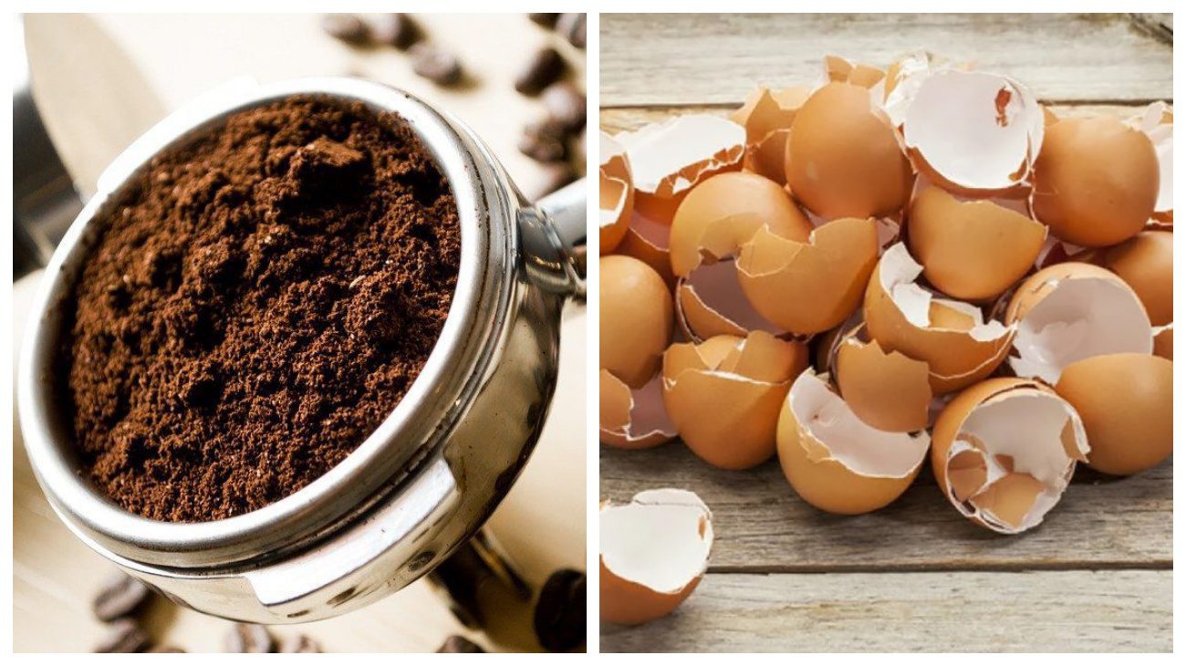 Експерти пояснили, залишками якої їжі можна удобрювати город