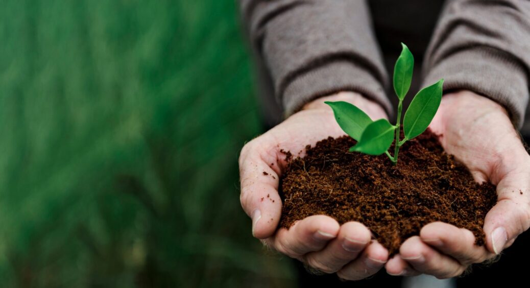 Обов’язковий комплект: 5 осінніх добрив, які мають бути в арсеналі будь-якого дачника 