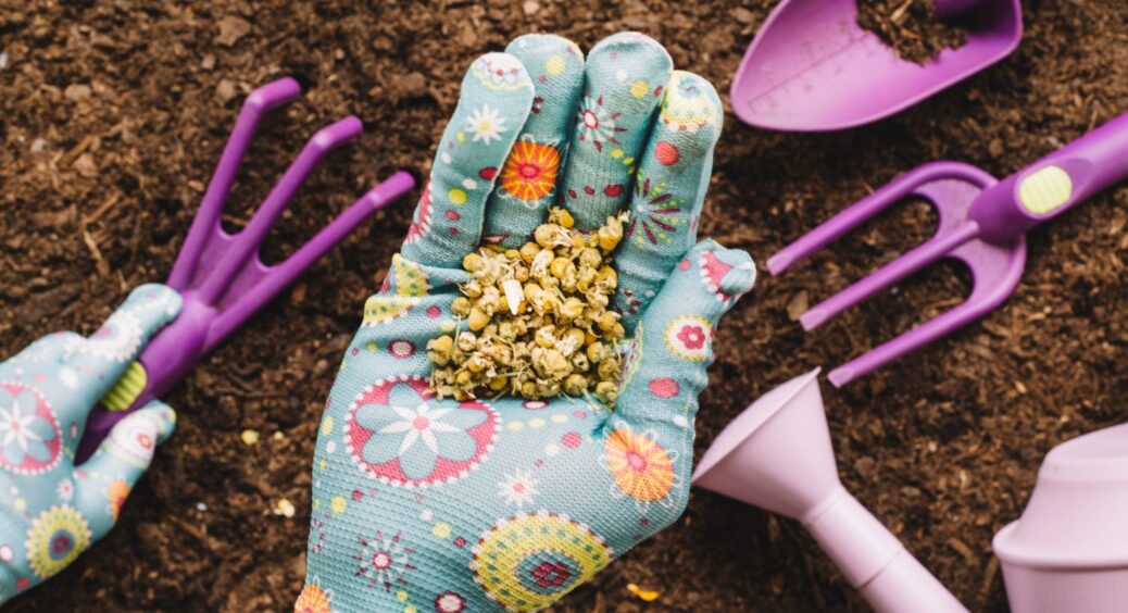 Навіщо закопувати в землю гречку та вівсянку? Неочікуваний прийом, про який ви не знали 