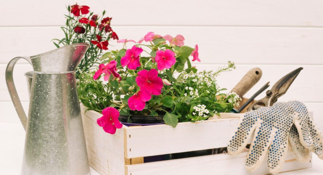 Вишукана краса: добірка ідей для вашої клумби у стриманих кольорах, але з буйним цвітінням 