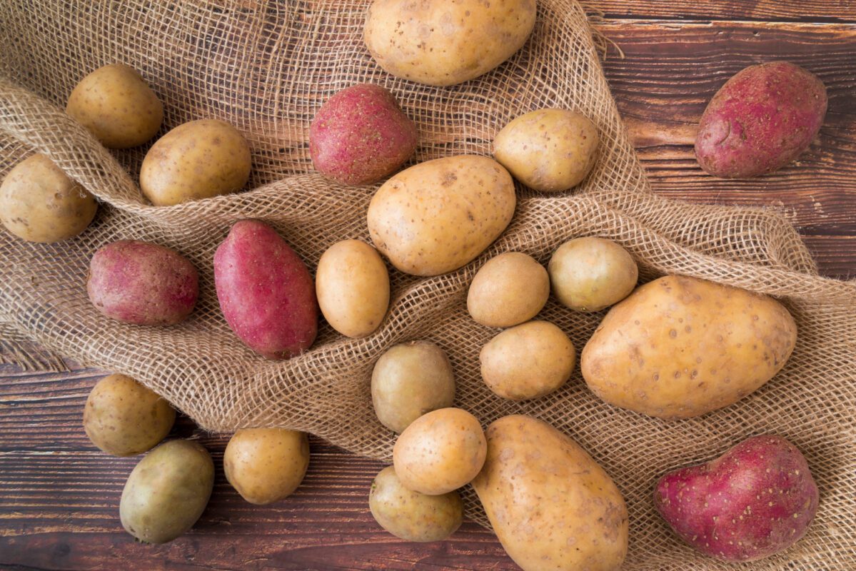 Дачники розсекретили найкраще підживлення для картоплі в 2025-му