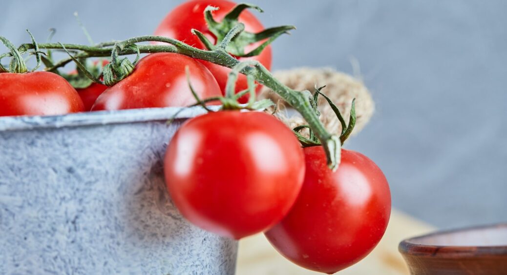 Саджаю всього 3 кущі, і врожай збираю ваннами: цей сорт томатів вражає рекордною врожайністю 