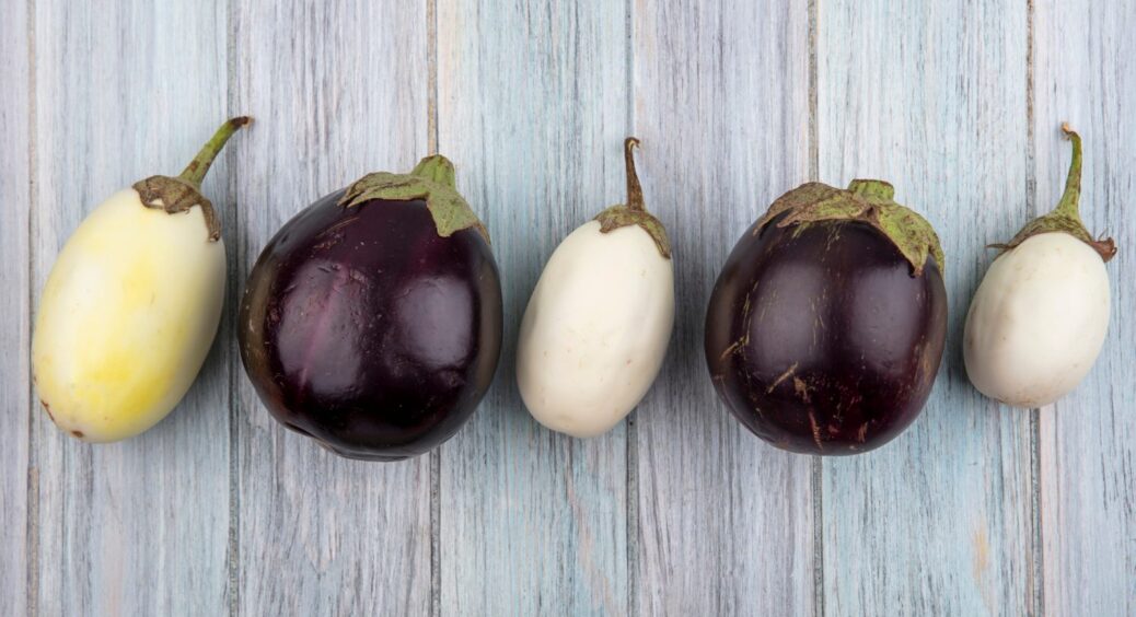 З року в рік саджаю тільки ці баклажани вагою в 500 г – і врожаю ціле море, і зовсім не синенькі 