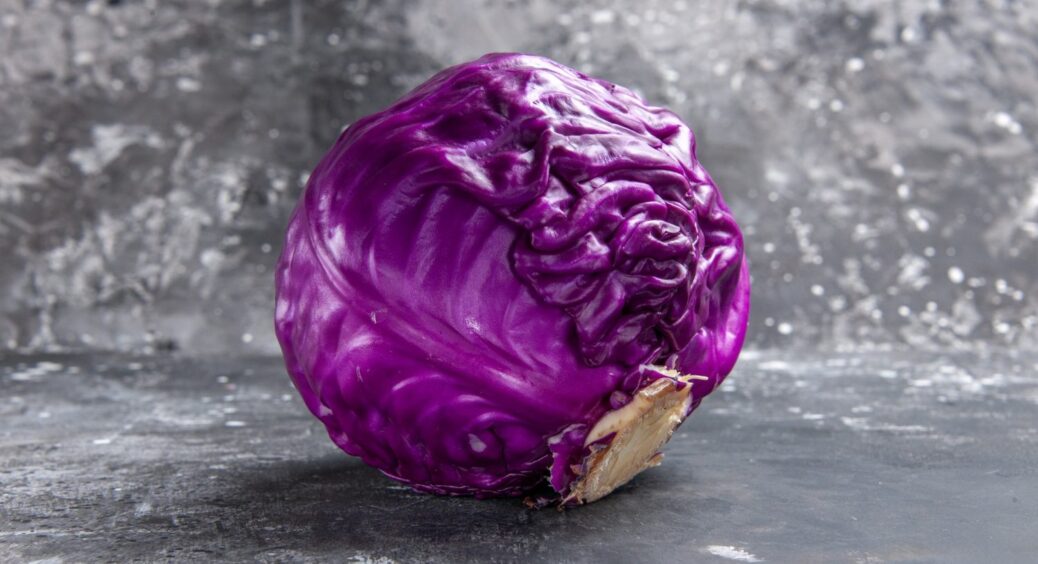 В 20-х числах лютого насіння вже не купити: цей сорт фіолетової капусти – чемпіон 2025 року 