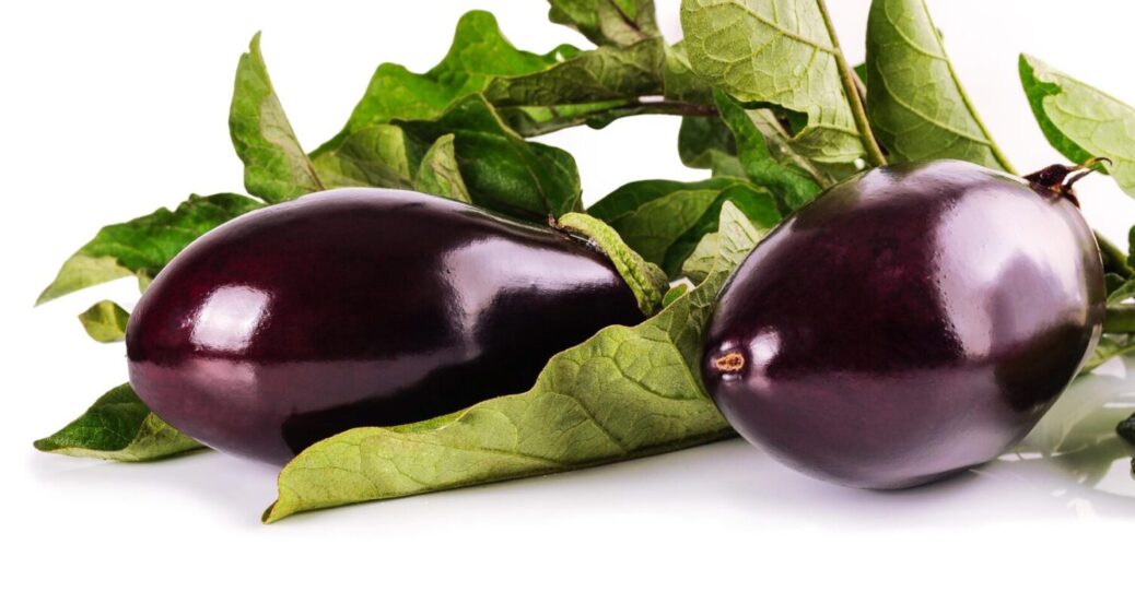 Баклажани у відрах – а це як? Вирощую так вже 5 років – до 10 кг з відра маю. Розповідаю 