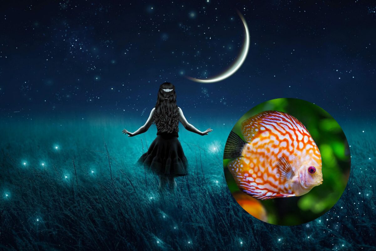 Астрологи розповіли, чого чекати від Молодика в Рибах 28 лютого 2025 року