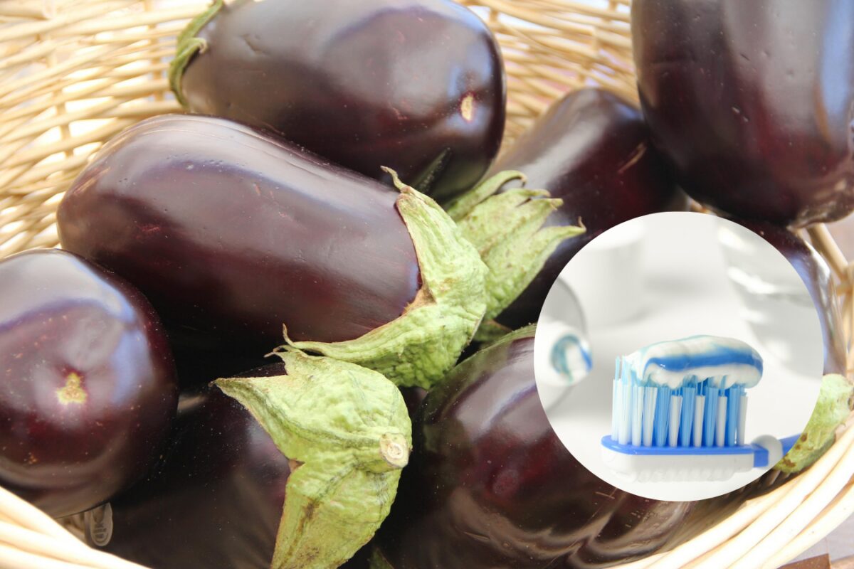 Як виростити високий врожай баклажанів завдяки зубній пасті