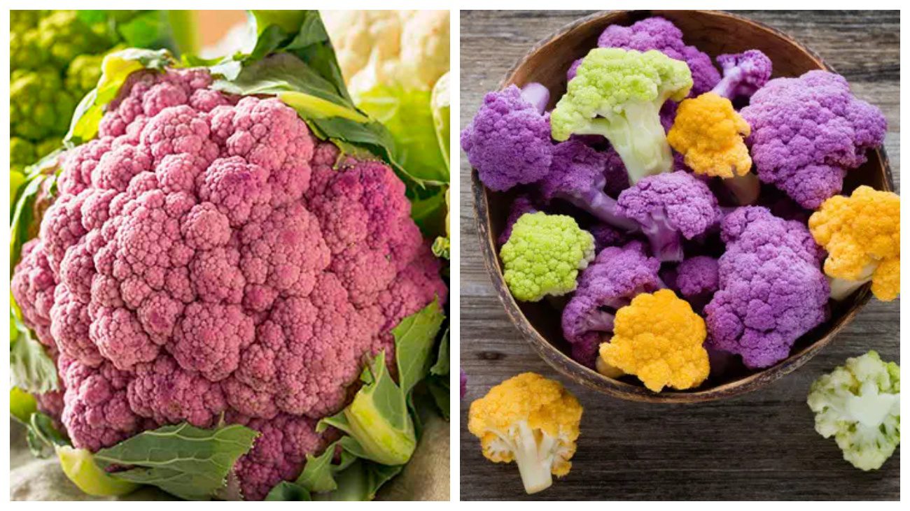 Садівники пояснили, як виростити цвітну капусту всіх кольорів у своєму городі