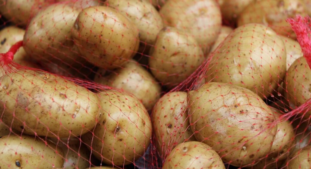 Бажаєте бульби з кулак? Тоді картоплю треба розбудити – зробіть це перед посадкою 