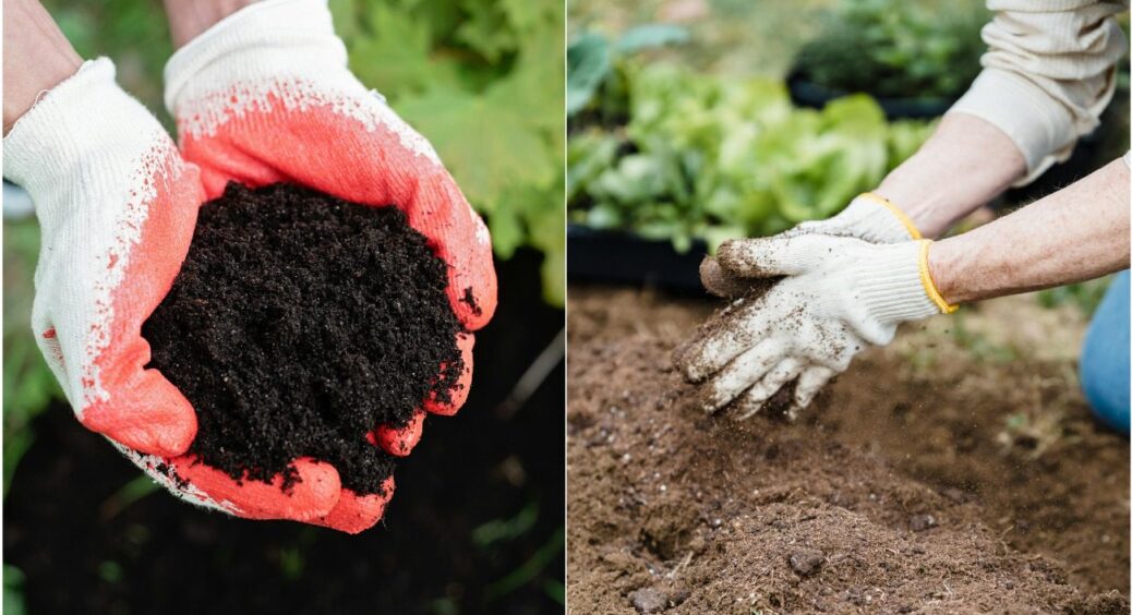 Не компост, а “вітамінна фабрика”: що додавати, а чого уникати для отримання якісного компосту 