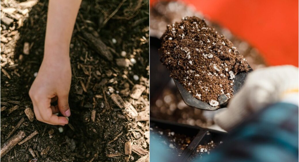 Городники озвучили “рецепт” ідеального компосту: це рекордний урожай на кілька років уперед 