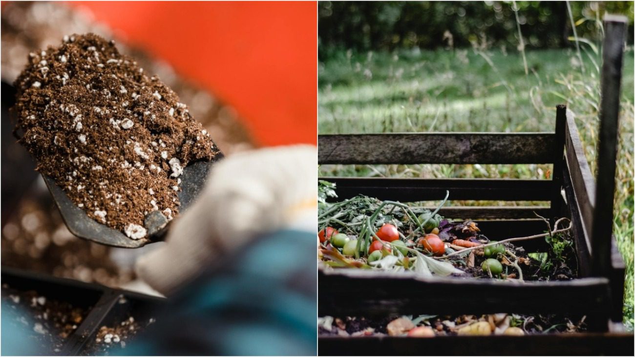 Експерти назвали речі, які категорично не можна класти в компостну яму