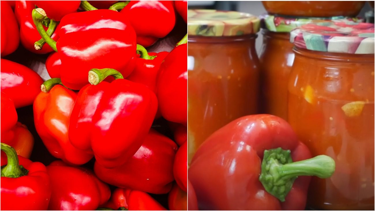 Агрономи назвали найврожайніші та найсмачніші сорти перців