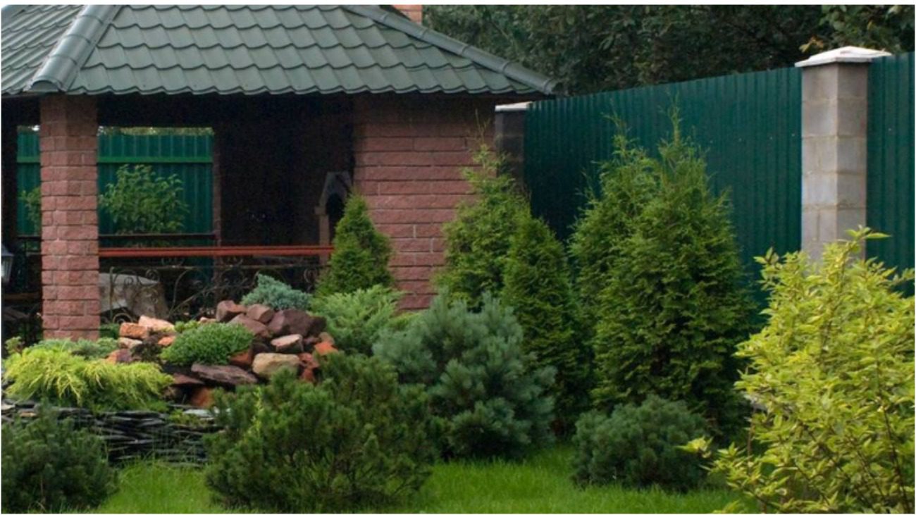 Садівник розповів, які дерева дорогі у догляді 