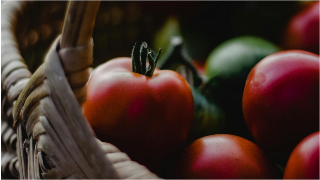 Експерти назвали 5 кращих сортів томатів для Дніпровської і Полтавської області