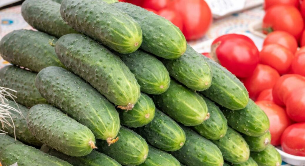 Огірки — легкі у догляді та вирощуванні: 3 сорти, що виростуть практично без вашої участі 