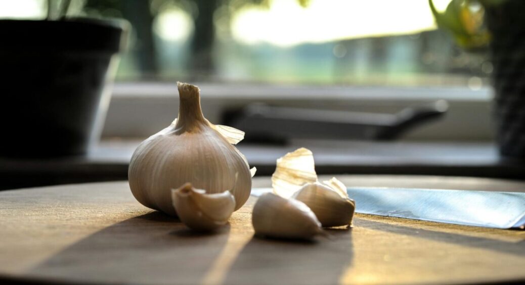 Ще не пізно: ідеальний час посадки часнику навесні – буде врожай, якщо все зробити саме так 