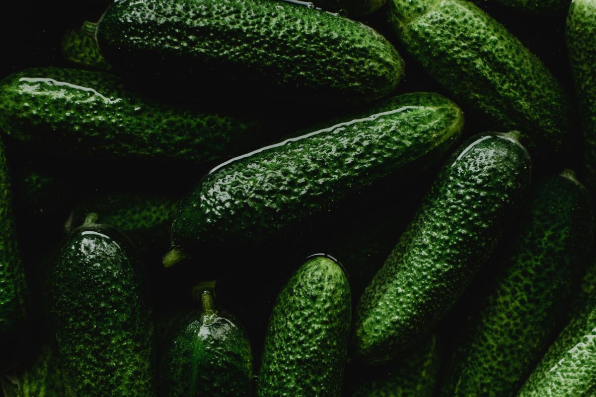 Найкращий сорт хрустких огірків за відгуками городників