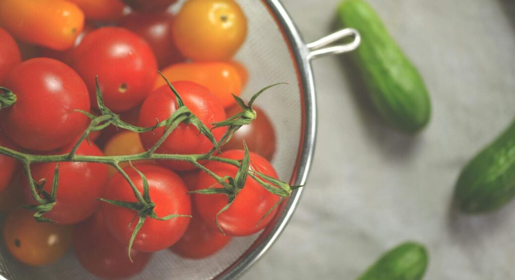 З грядки прямо на стіл: ранні сорти огірків і томатів – їжте свіжий салат вже на початку літа 