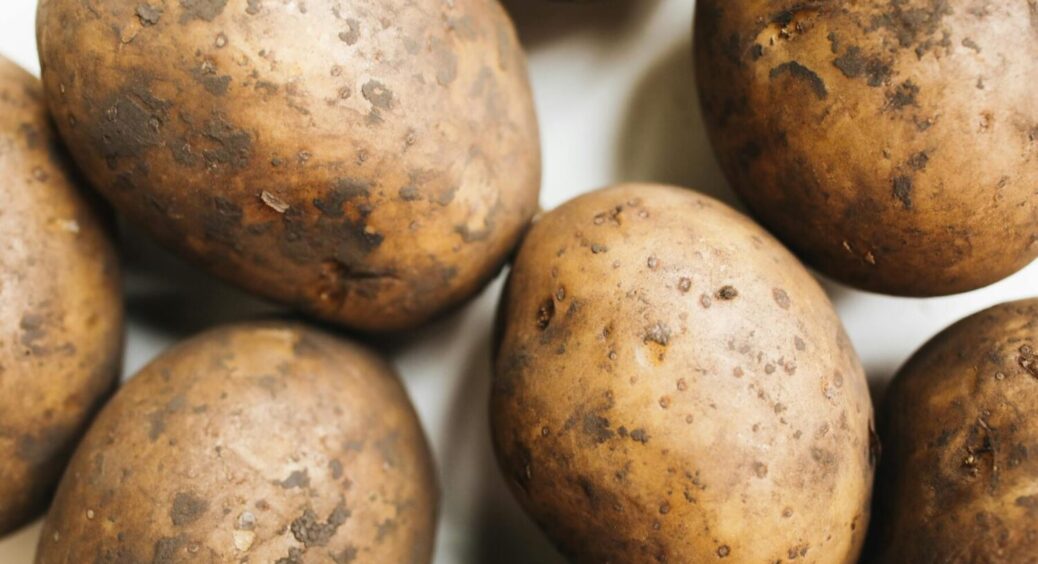 Це 100% гарантія багатого врожаю картоплі: що потрібно зробити з бульбами перед самою посадкою 