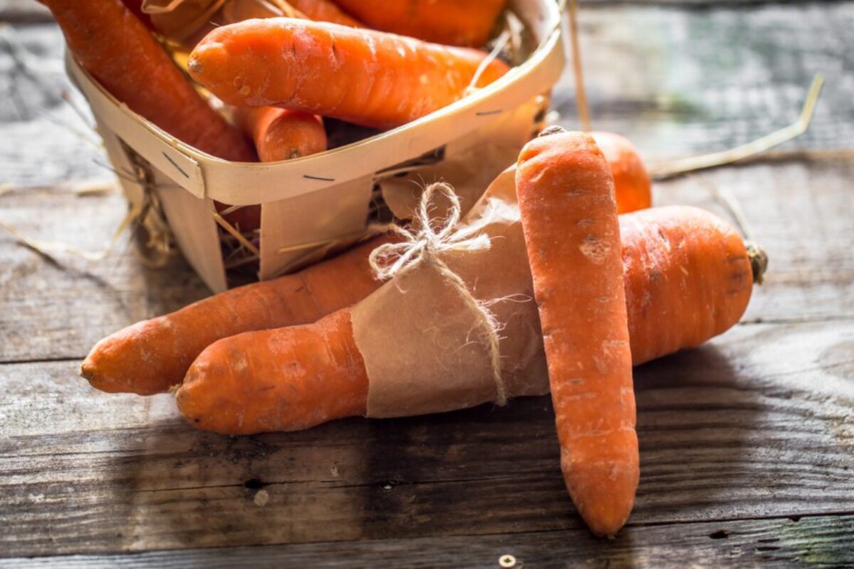 Городники розсекретили, як виростити ідеальну моркву